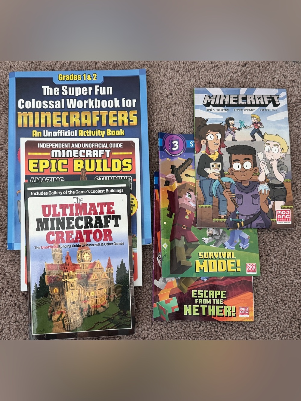 Set of 6 Minecraft Books
